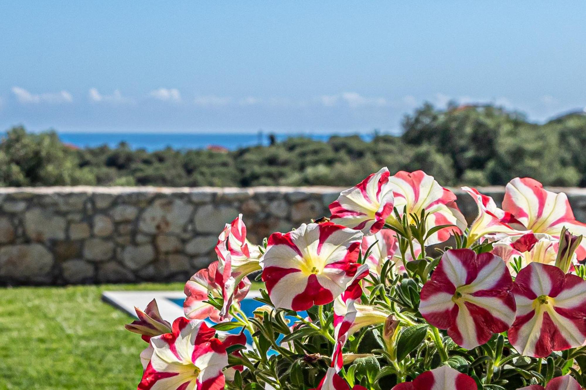 Villa Penelope Galatás Buitenkant foto